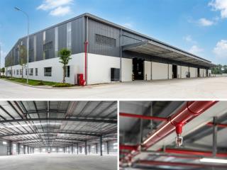 Cho thuê kho  nhà xưởng 1.000m mới xây  pccc tự động tại liên chiểu  giá chỉ 65k/m