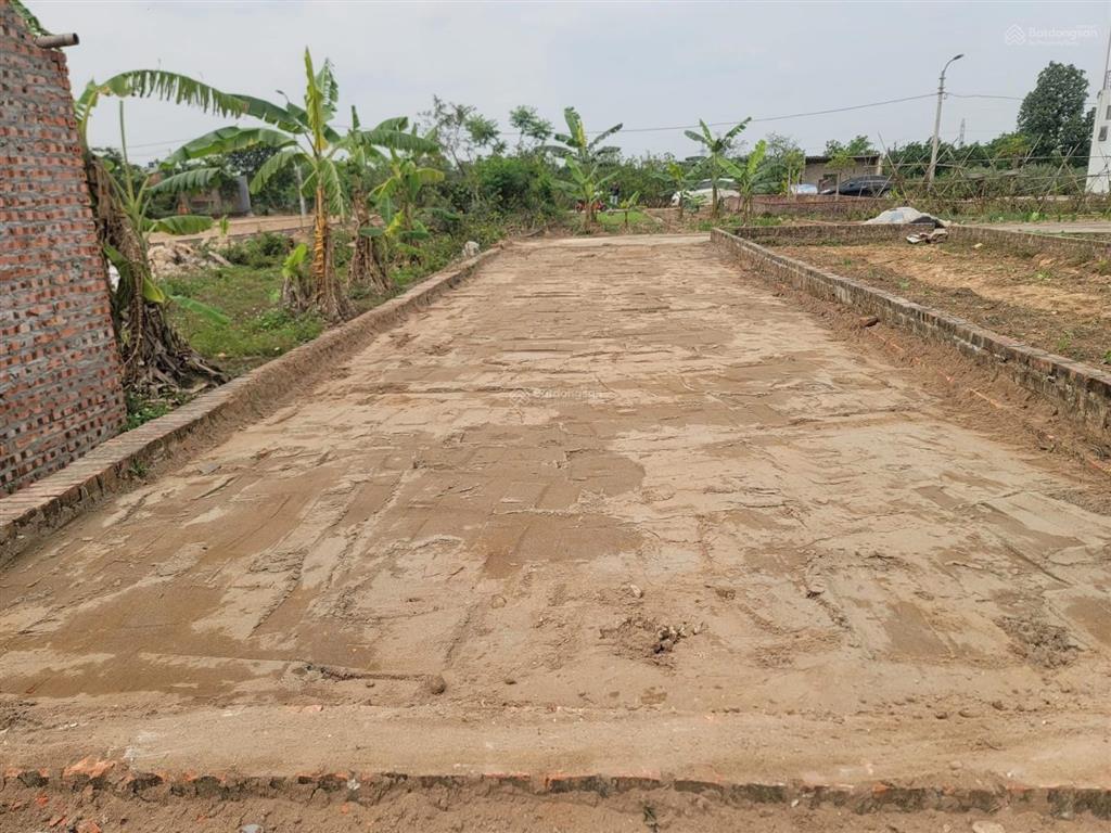 Bán đất, lô 2 mặt đường, tổ 10 tt quang minh  mê linh  hn dt 58,1m2  full thổ cư, mt= h