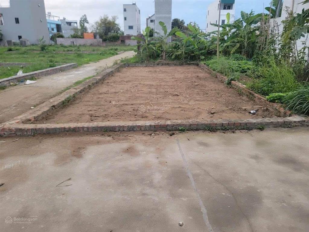 Bán đất đẹp  lô góc hai mặt tiền tổ 10 tt quang minh, hà nội dt 54 m2. full thổ cư