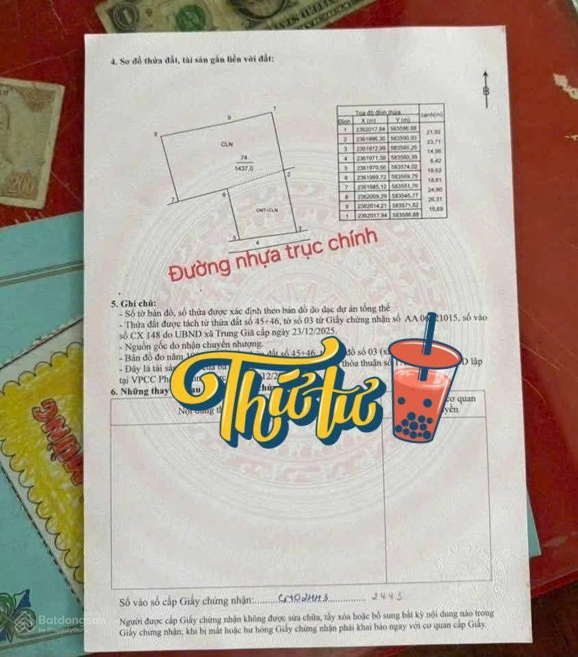 Đất f0 , mặt đường nhựa liên thôn. giá siêu rẻ. chủ rất cần tiền