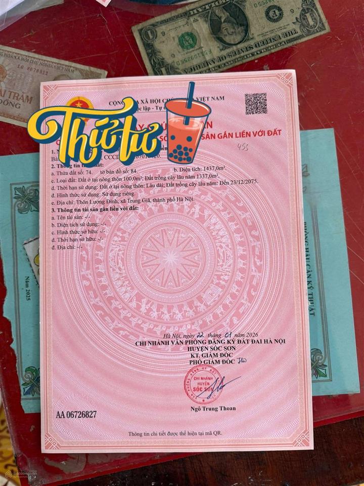 Đất f0 , mặt đường nhựa liên thôn. giá siêu rẻ. chủ rất cần tiền
