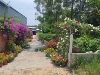 Chính chủ bán gấp đất tại đường tỉnh lộ 47, hàm ninh, phú quốc, giá 38,4 tỷ, diện tích 12000 m2