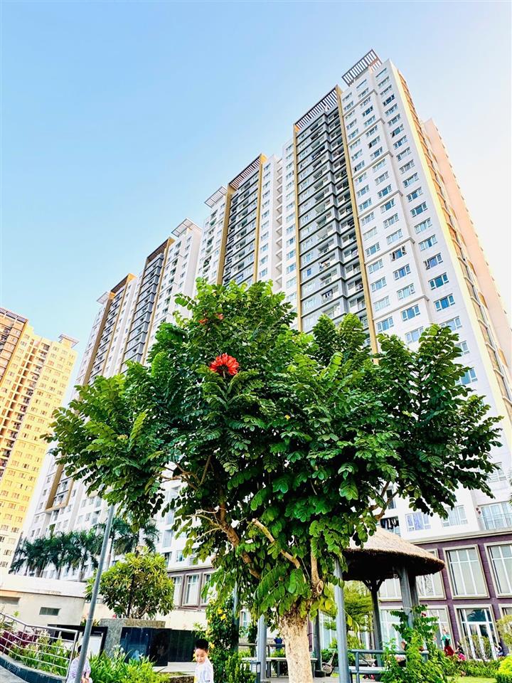 Thanh toán 30% nhận nhà the park residence 2.330 tỷ0904 133 ***