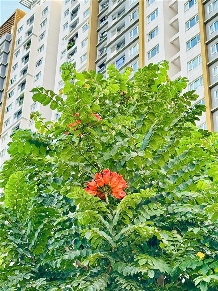 Thanh toán 30% nhận nhà the park residence 2.330 tỷ0904 133 ***