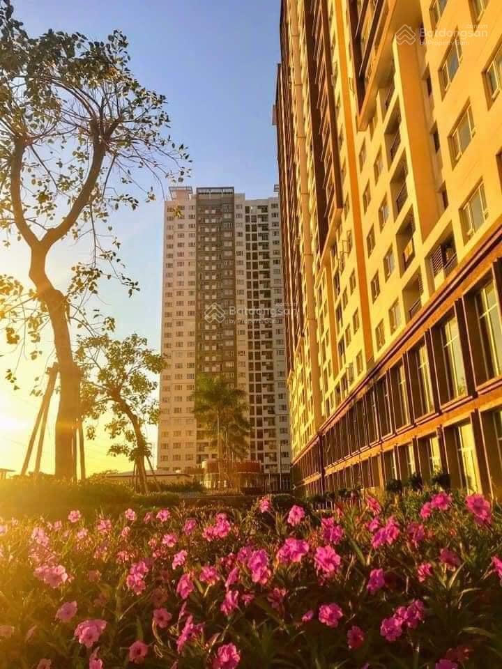 Cho thuê the park residence 1pn đủ nội thất 8.2 triệu  0904 133 ***