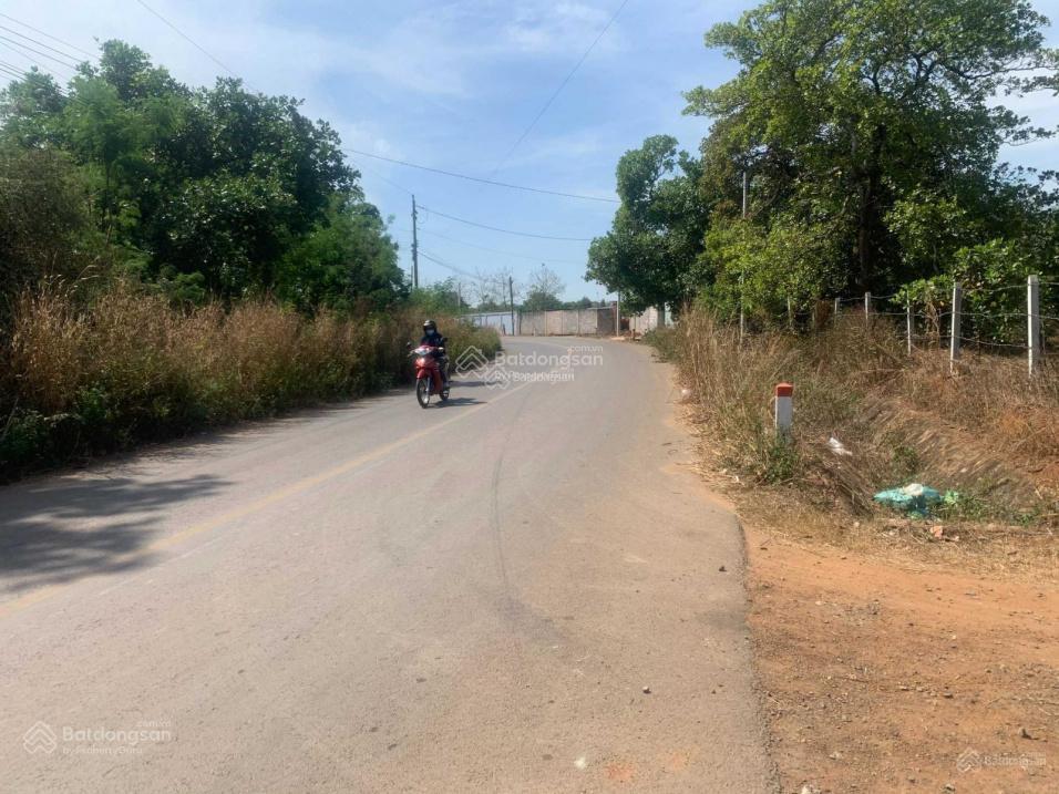 Bán đất mặt tiền nhựa 8m, gần kdl núi chứa chan, kdc sầm uất