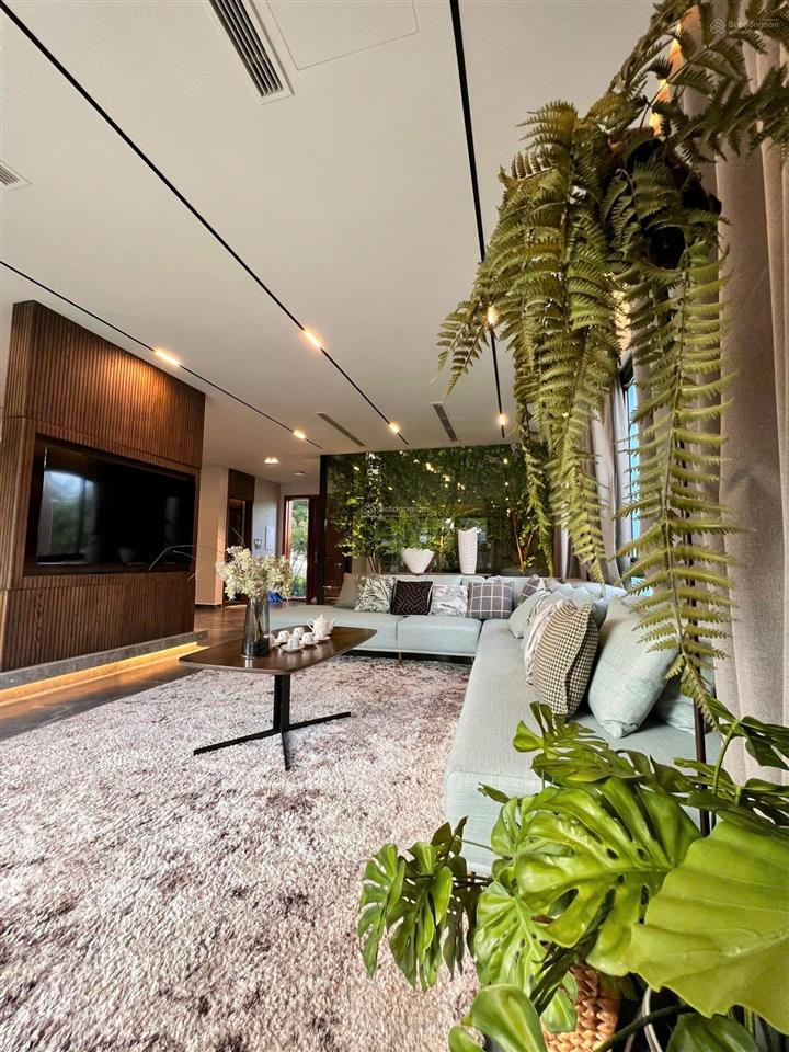 Biệt thự biển đơn lập rộng 300m2, trực diện mặt tiền sông ray dành cho giới tinh hoa