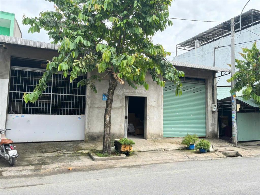 Bán gấp nhà xưởng dt 12x40, đường nhựa 12m, gần chợ đầu mối  hóc môn
