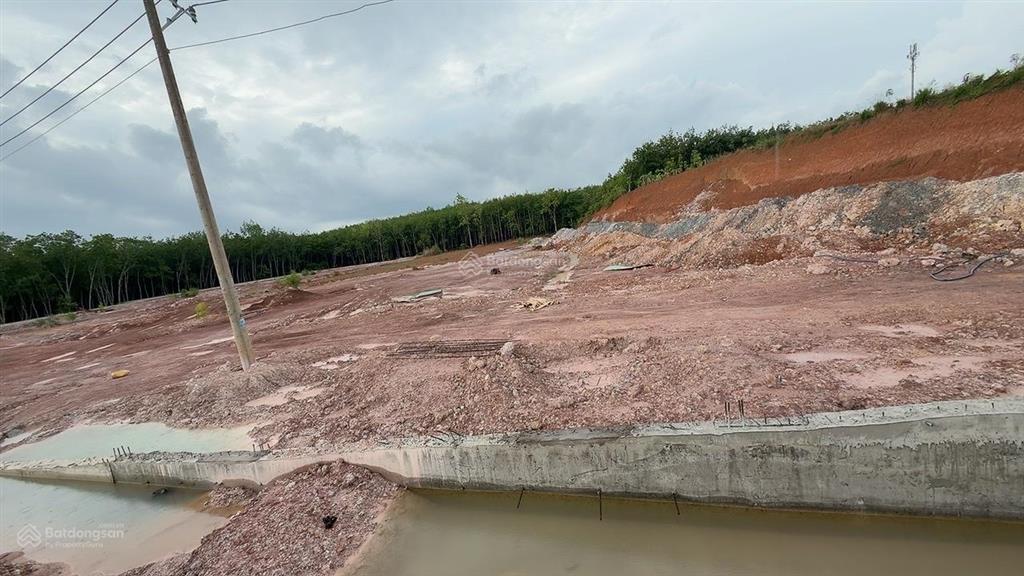 Hàng hiếm tại tân tiến, đồng phú, bình phước, 28 tỷ, 17800 m2