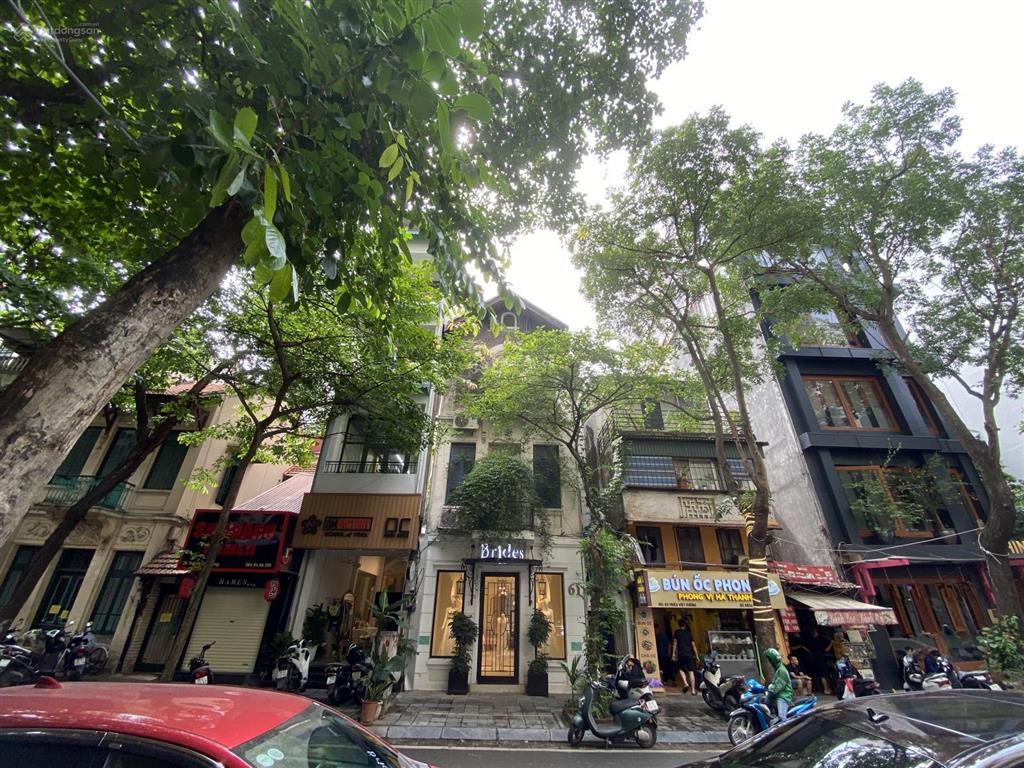 Bán đất mặt phố số 61 và 63 triệu việt vương quận hai bà trưng thành phố hà nội 318m2 mặt tiền 13m