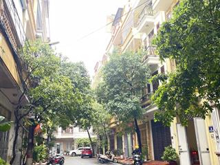 Bán liền kề đại kim, nguyễn cảnh dị, kinh doanh tốt. diện tích 54m2, 4 tầng, mặt 4.2m, giá cực ngon