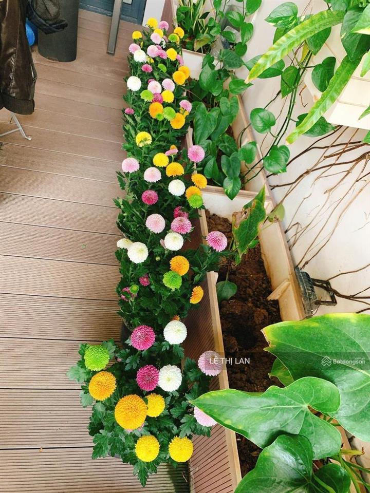 Nam thành công phố hoàng ngọc phách 5 tỷ sổ đỏ tập thể tầng 3 đống đa 33/120 m2  3 ngủ 2 vs lô góc