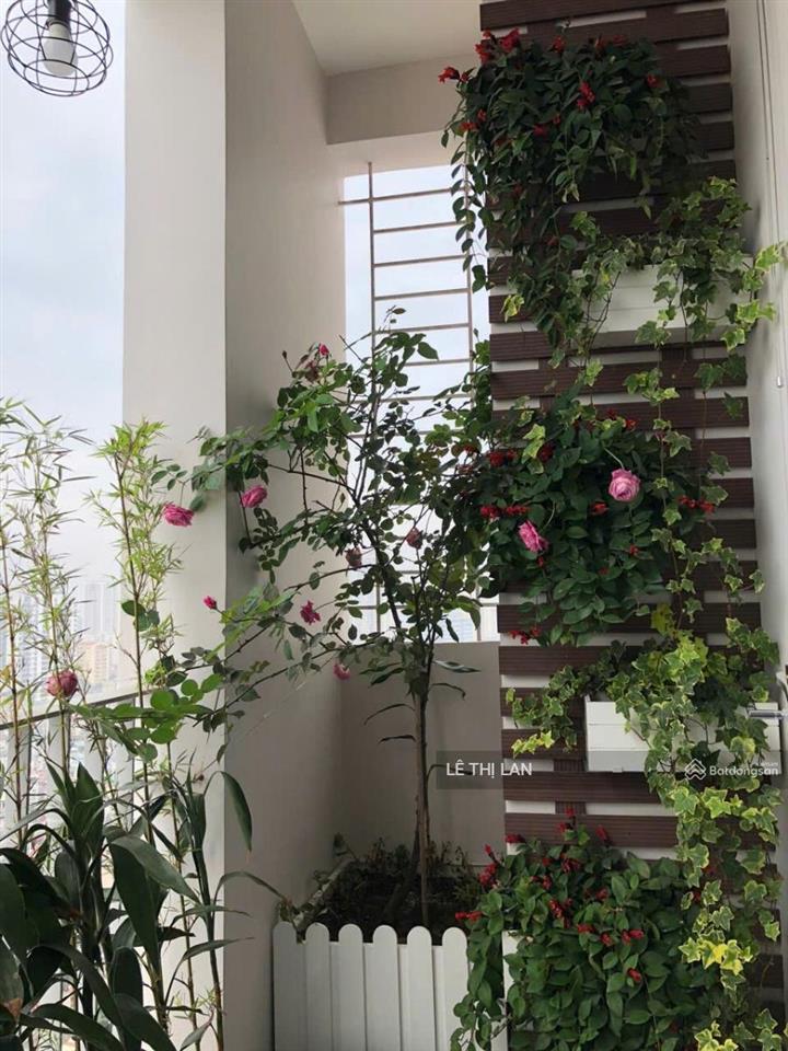 Nam thành công phố hoàng ngọc phách 5 tỷ sổ đỏ tập thể tầng 3 đống đa 33/120 m2  3 ngủ 2 vs lô góc