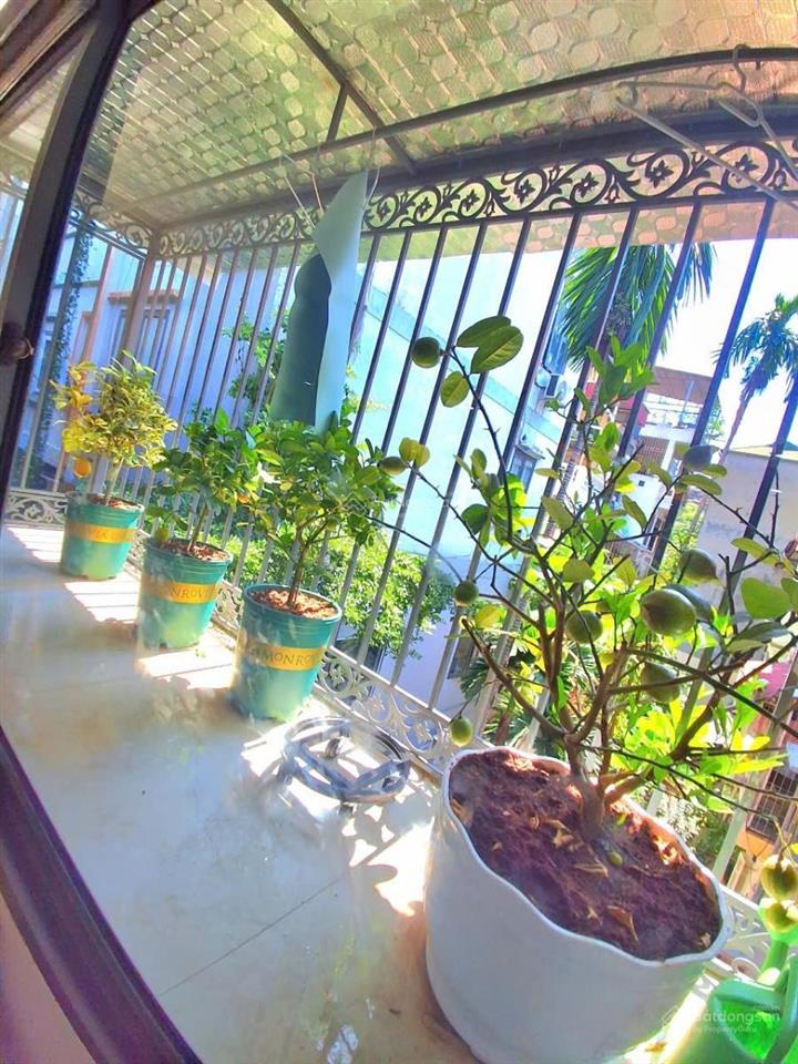 Bán căn tt thành công sổ đỏ ba đình to đùng 42/88 m2 nhà đẹp full 3 ngủ 2 vs ô tô dừng đỗ vị trí ok