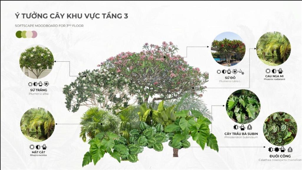 Bán gấp căn 1pn 55,4m2 giá chỉ 7,5 tỷ tại the legend danang view cầu rồng. huong rebecca 0903 407 ***