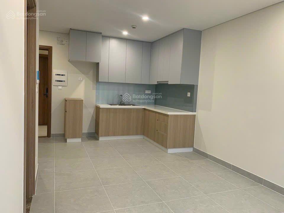 Cho thuê căn hộ 1pn, 49m2, giá 9,5 triệu tại diamond lotus, tp.hcm