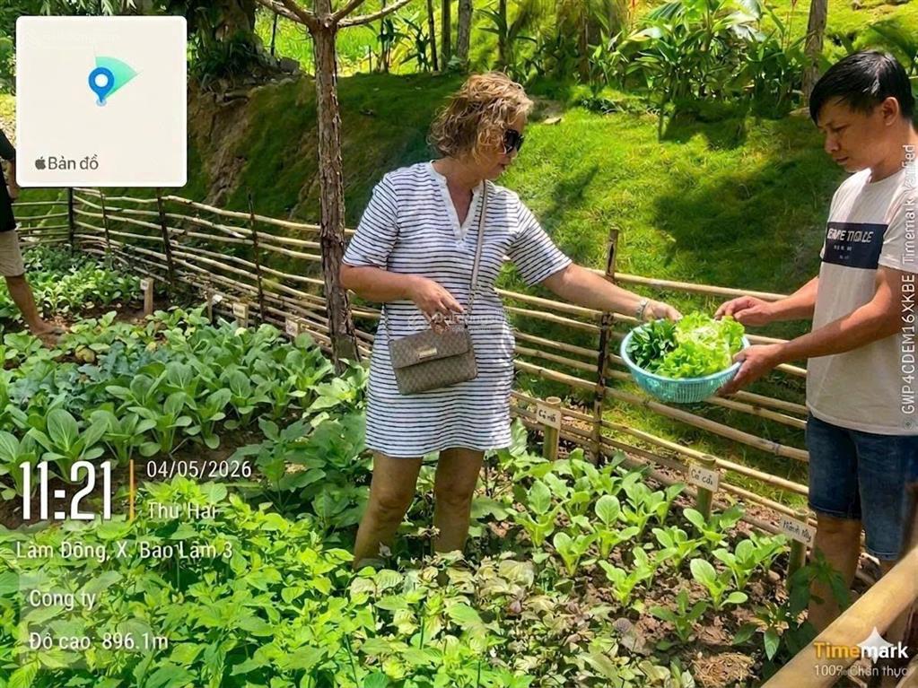 Bán gấp trang trại 1000m2 tại b' lao xê rê, lộc thành, bảo lâm, 2,5 triệu / m2