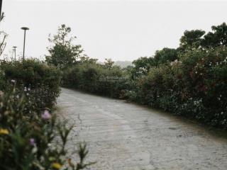 Bán gấp trang trại 1000m2 tại b' lao xê rê, lộc thành, bảo lâm, 2,5 triệu / m2