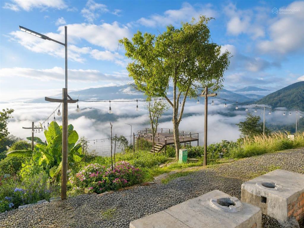 Bán gấp trang trại 1000m2 tại b' lao xê rê, lộc thành, bảo lâm, 2,5 triệu / m2