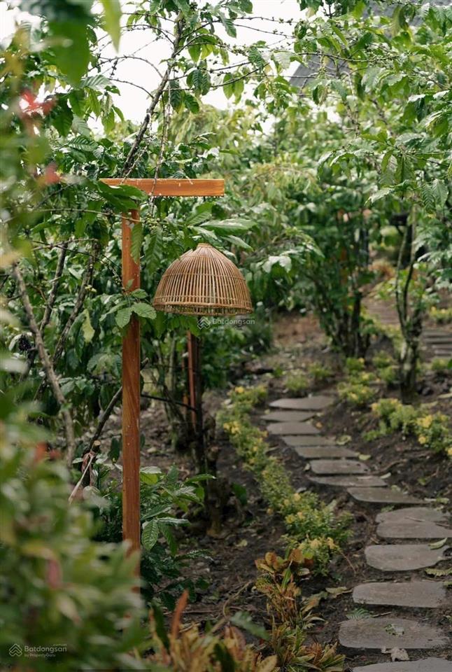 Bán gấp trang trại 1000m2 tại b' lao xê rê, lộc thành, bảo lâm, 2,5 triệu / m2