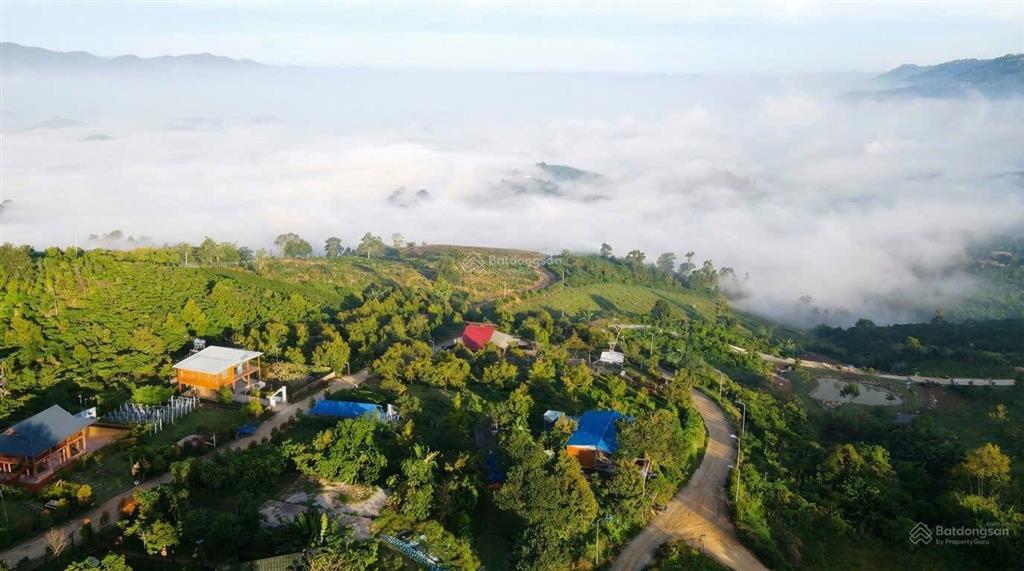 Bán gấp trang trại 1000m2 tại b' lao xê rê, lộc thành, bảo lâm, 2,5 triệu / m2