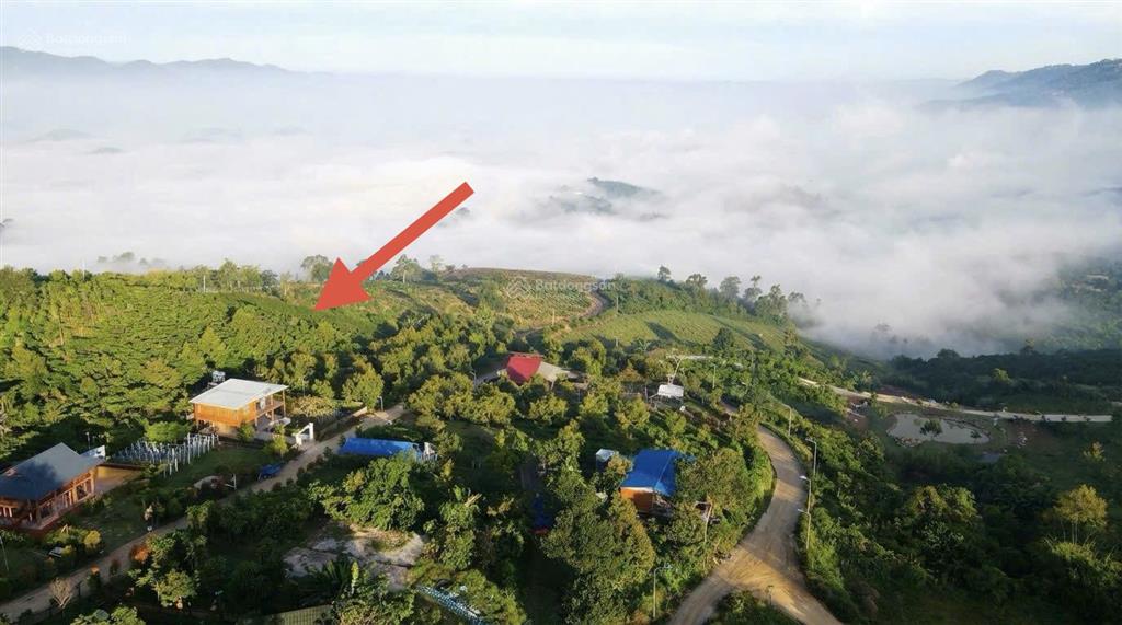 Chính chủ cần bán lô đất 2500m2 ở bảo lâm  bảo lộc lâm đồng. sổ hồng riêng, công chứng ngay