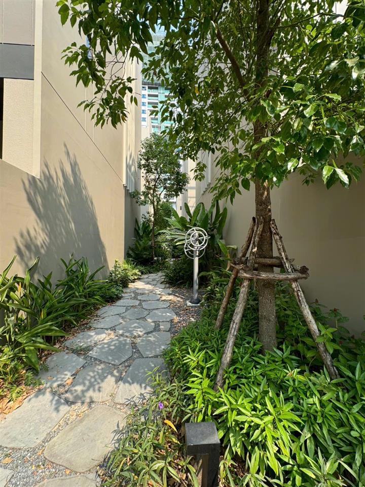 Cập nhật rổ hàng chuyển nhượng nhà phố the orchard  sycamore bình dương