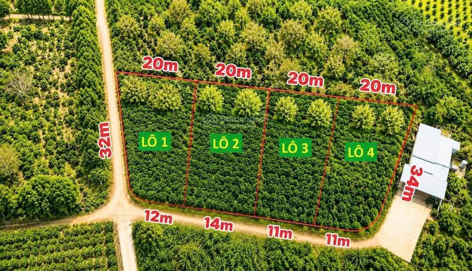 Đất ngộp ngay gần chợ lộc đức 11m chỉ 950 triệu