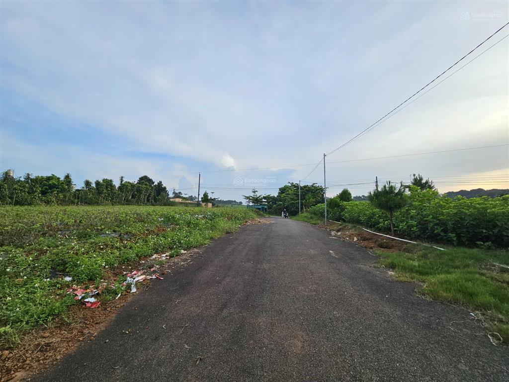 Đất view thoáng sẵn thổ cư mặt tiền tôn đản  p2 bảo lộc