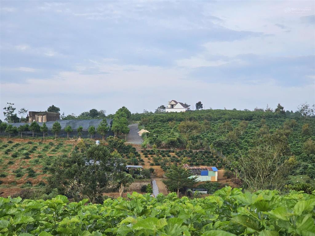 Đất view thoáng sẵn thổ cư mặt tiền tôn đản  p2 bảo lộc