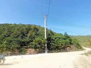 Hơn 2.4ha trồng full cafe giáp hồ thủy lợi