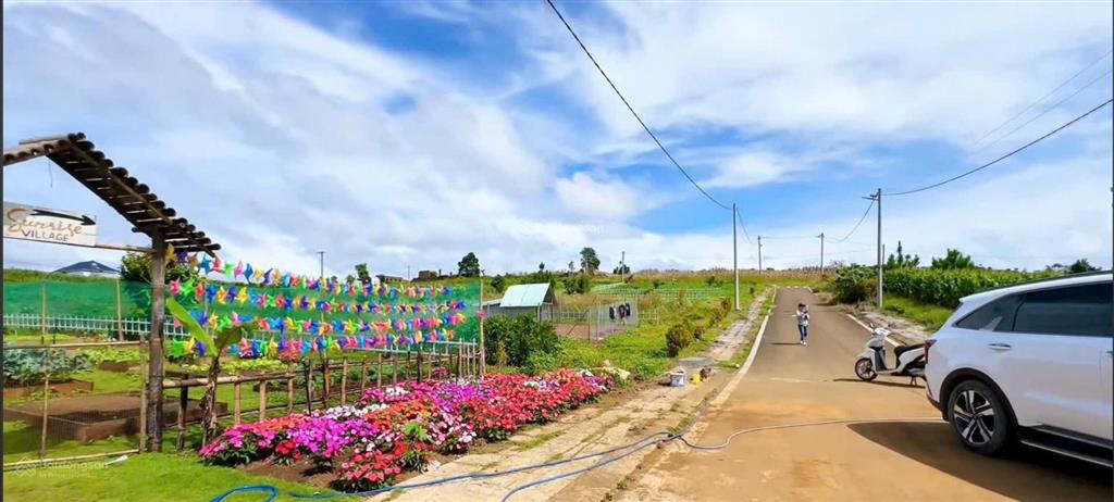 Chỉ 1 tỷ 250 cho lô đất 10 x 22m thổ cư ngay khu dân cư