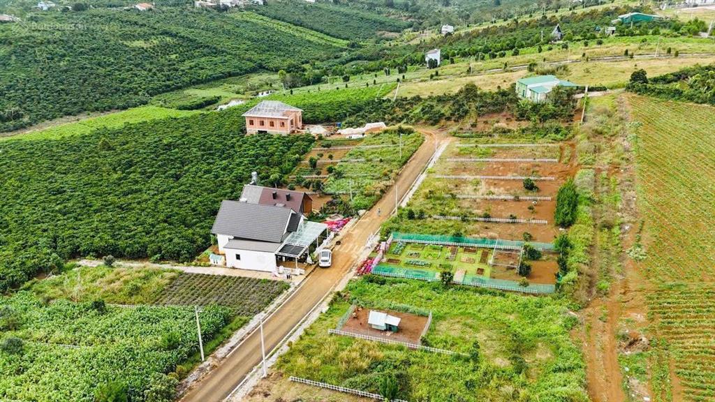 Chỉ 1 tỷ 250 cho lô đất 10 x 22m thổ cư ngay khu dân cư