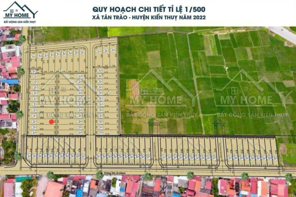 Mặt đường trục thôn kỳ sơn  tân trào  kiến thụy