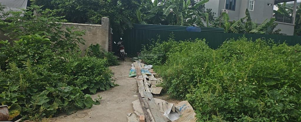 Bán đất tại liên thông, hồng thái, phú xuyên, 1,75 tỷ, 66 m2