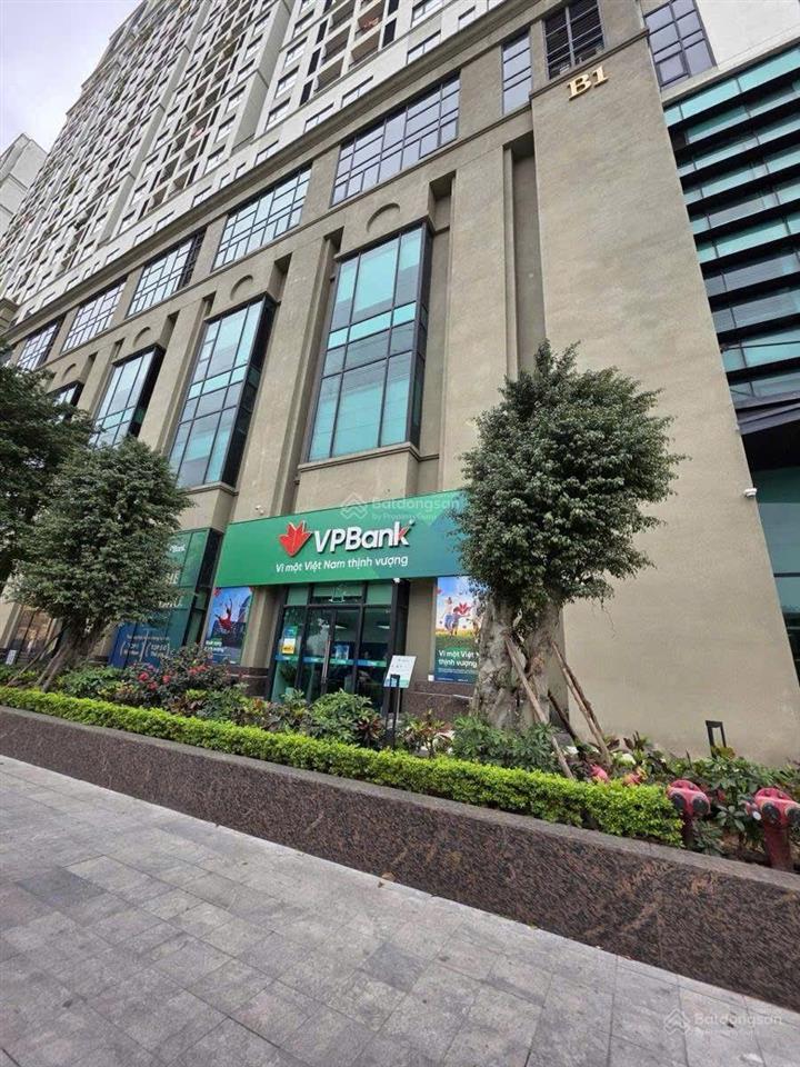 Sàn văn phòng roman plaza tố hữu tiêu chuẩn 5 sao dòng tiền khủng 250m 14 tỷ