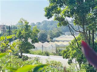 Bán đất view hot cạnh sân bay cam ly cũ, p 5, tp đà lạt, 36 tỷ, 2300m2 có thể lên full thổ