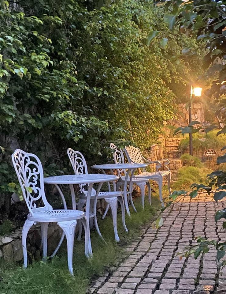 Bán biệt thự châu âu trung tâm đà lạt sân vườn chill hoàng diệu, 317m2, giá siêu hời 25 tỷ vnd
