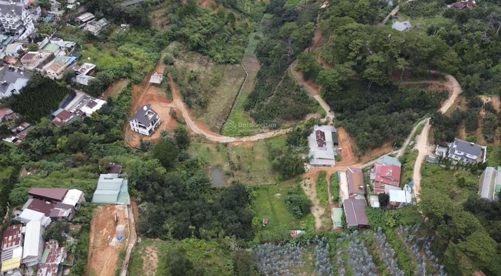 Hơn 8000m2 đất view thông khe sanh sẵn 1 căn biệt thự p10 đà lạt chỉ 4.7tr/m2