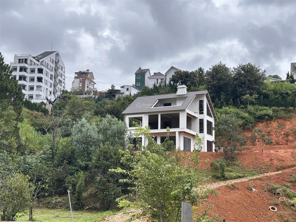 Hơn 8000m2 đất view thông khe sanh sẵn 1 căn biệt thự p10 đà lạt chỉ 4.7tr/m2