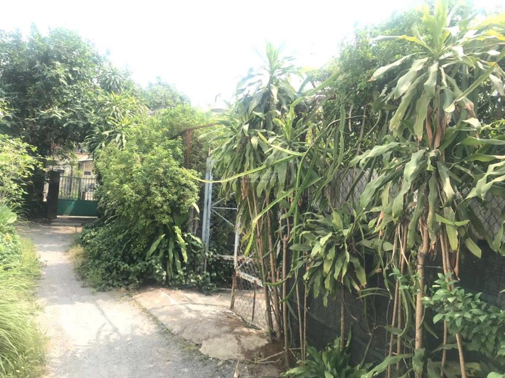 Cực sốc, gia đình định cư nước ngoài cần bán gấp 2000m2 đất trung tâm tp. biên hoà