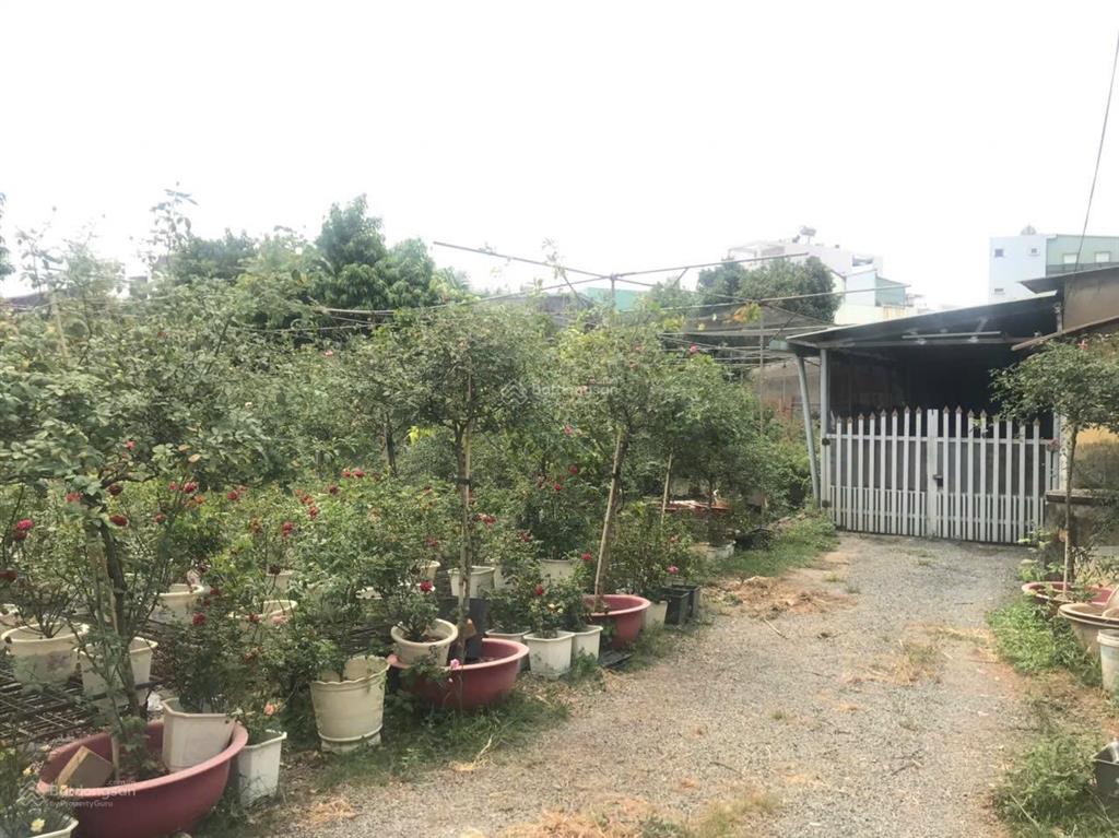 Cực sốc, gia đình định cư nước ngoài cần bán gấp 2000m2 đất trung tâm tp. biên hoà