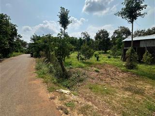 Bán 4.300m2 đất vườn kim long, mt 54m, 340m tc, đất cao đẹp, sầu riêng sẵn