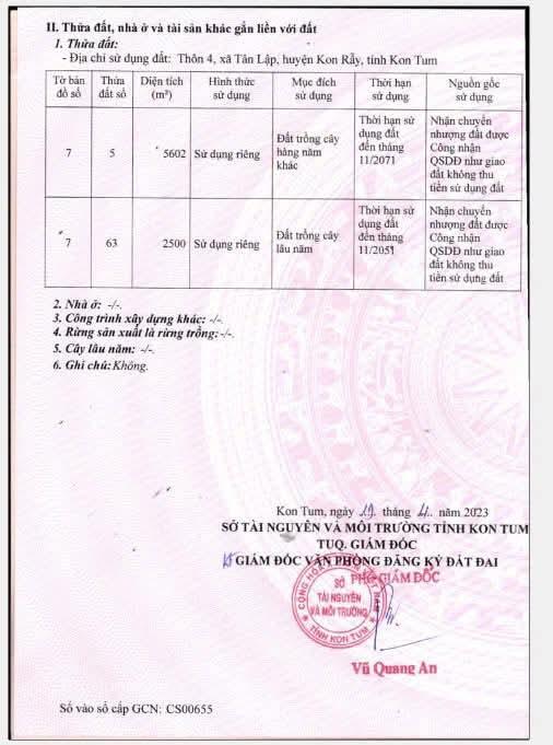 Bán đất ngay chân đèo măng đen