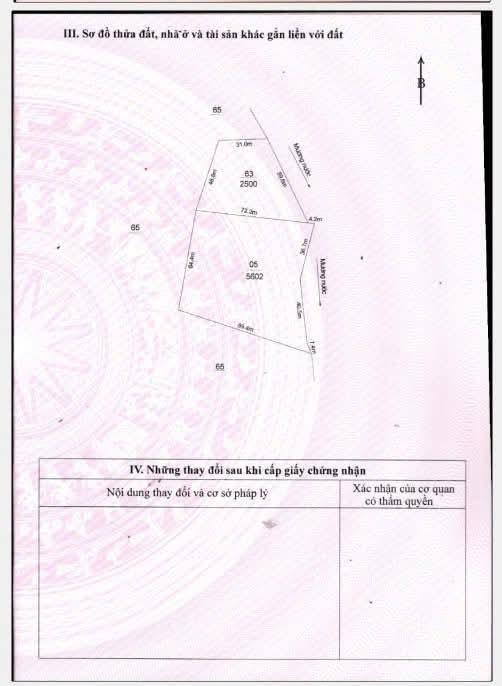 Bán đất ngay chân đèo măng đen