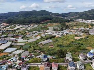 Lô đất rẻ nhất kqh dic an sơn 393m giá tốt nhất 22.5 tỷ