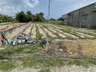 Liền kề vinhomes 930ha, đầu tư/ ở đều sinh lợi. đất thổ cư 541m2, ngang 12. xã hậu nghĩa tây ninh