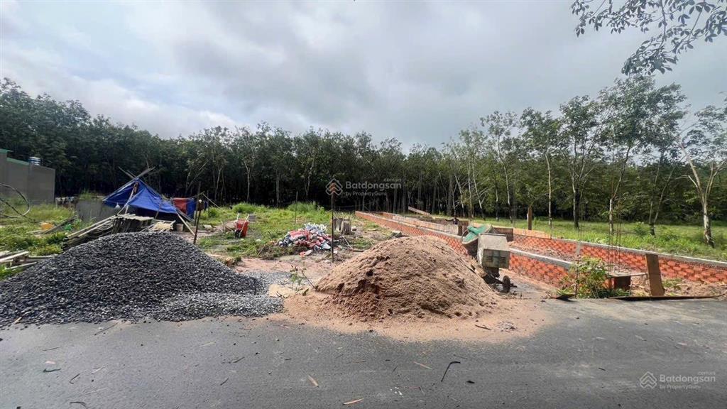 1 cặp 10x68m đường nhựa chánh phú hòa, sát với kcn vsip 2 mở rộng, giá chỉ 2,8 tỷ