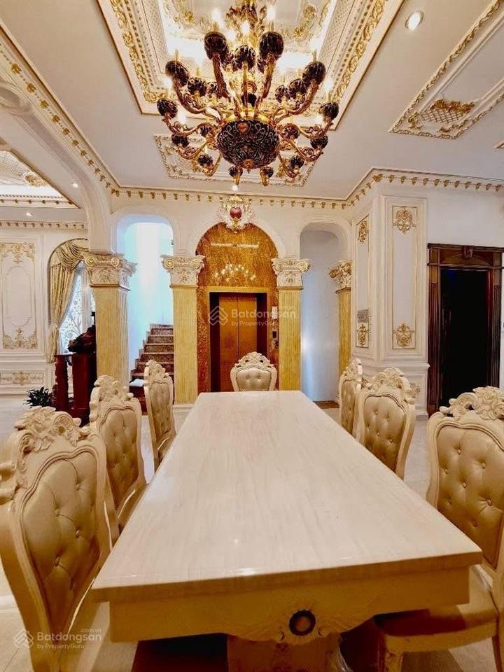 Biệt thự đẳng cấp cạnh lý thường kiệt quận tân bình  325 m² ngang (11x36)  hầm xe  thang máy