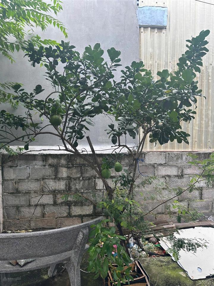 Bán nhà mặt phố tại tôn đức thắng, hưng long, phan thiết, bình thuận  324.2m2  giá thỏa thuận